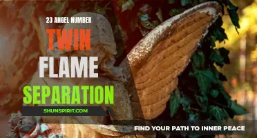 How to Overcome the Challenges of 23 Angel Number Twin Flame Separation