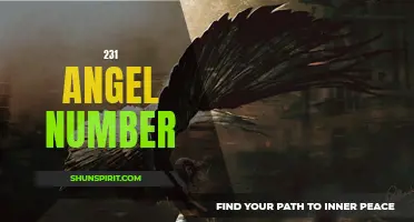 Uncovering the Meaning Behind the Mysterious 231 Angel Number
