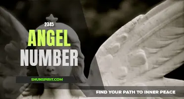 Unlock the Meaning Behind the '2345' Angel Number