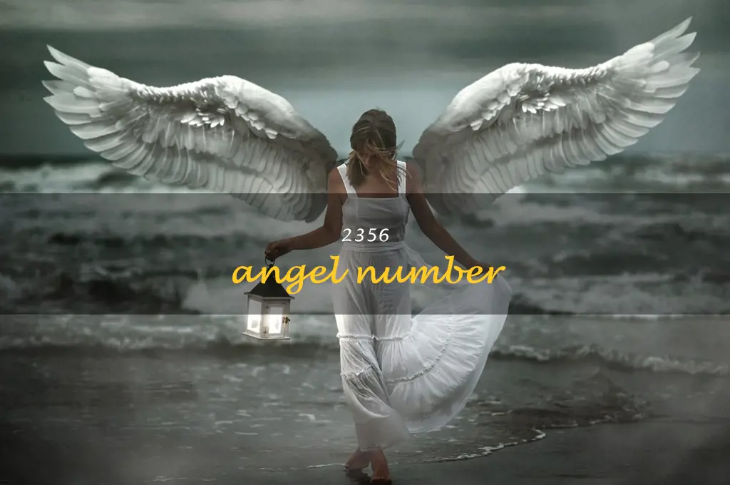 2356 angel number