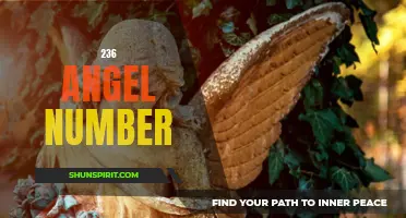 Uncovering the Hidden Meaning Behind the 236 Angel Number