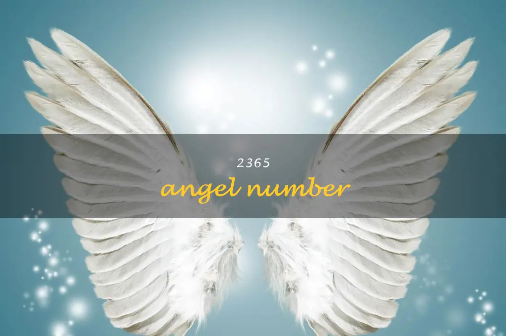 2365 angel number