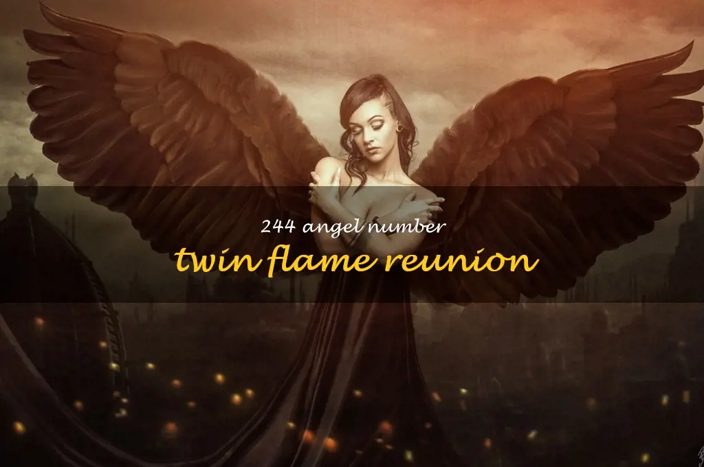 244 angel number twin flame reunion