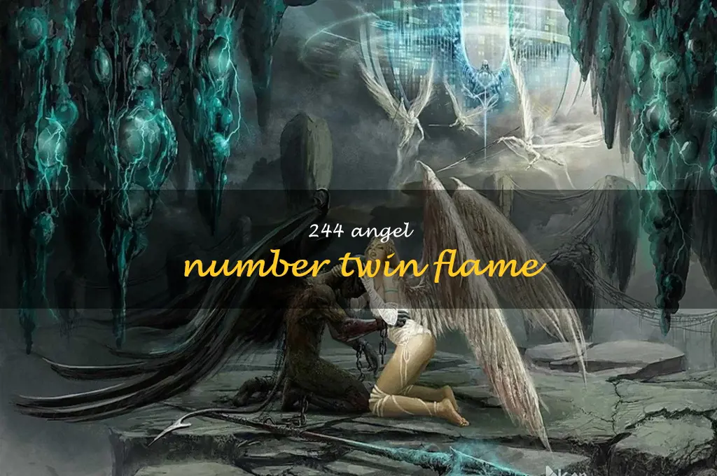 244 angel number twin flame
