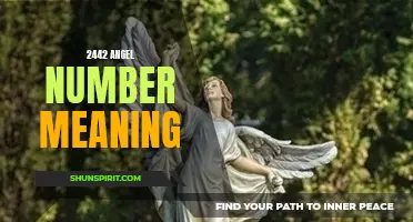 Uncovering the Meaning of the 2442 Angel Number