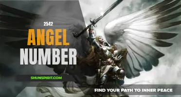 Unlocking the Mysteries of 2542: Discovering the Meaning Behind Angel Number 2542