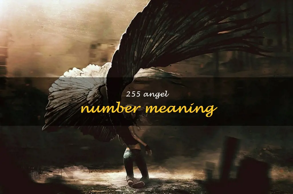 255 angel number meaning