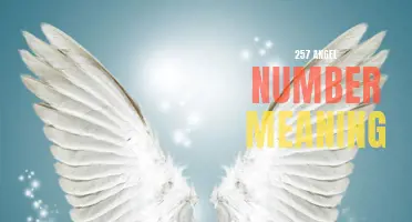 Discover the Meaning Behind the Angel Number 257