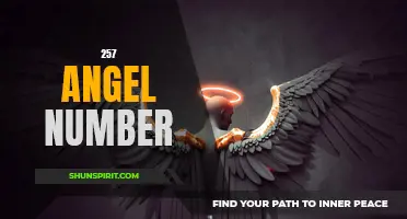 Unlock the Meaning Behind the 257 Angel Number
