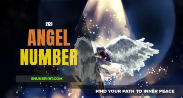 Discover the Meaning Behind the Angel Number 269!