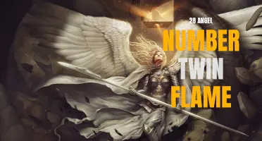 Discovering the Meaning Behind the 28 Angel Number Twin Flame