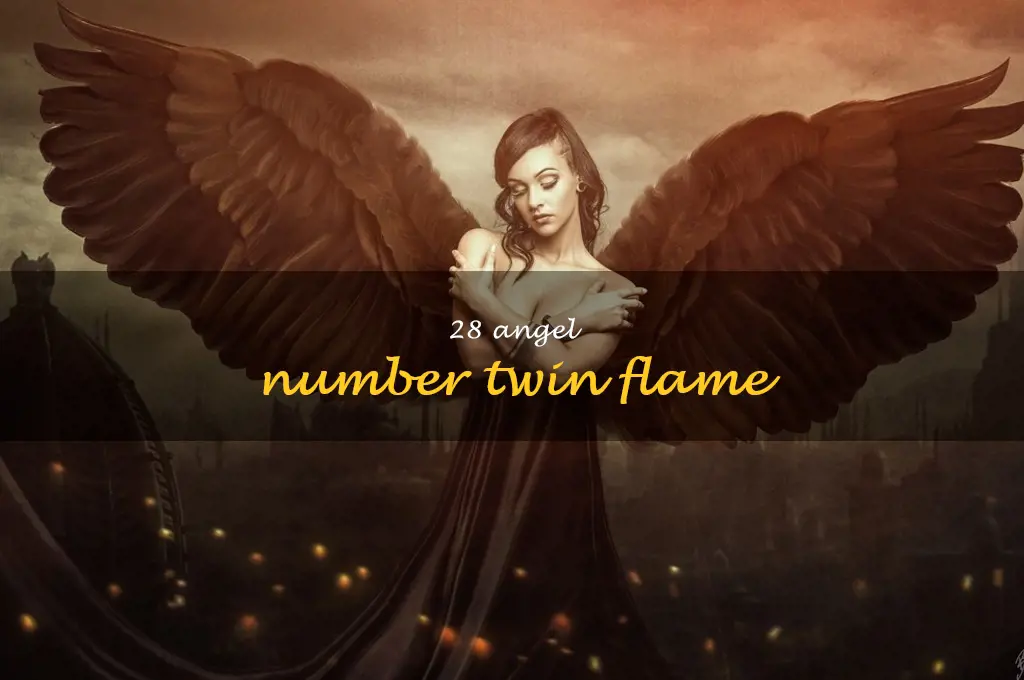28 angel number twin flame