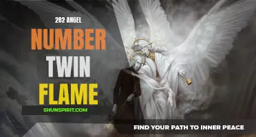 Unveiling the Hidden Secrets of the 282 Angel Number and its Connection to Twin Flame Relationships