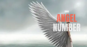 Discover the Meaning Behind 2882 Angel Number