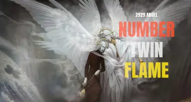 Unlock the Meaning Behind the 2929 Angel Number Twin Flame!