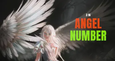 Unlocking the Meaning Behind the 3-16 Angel Number