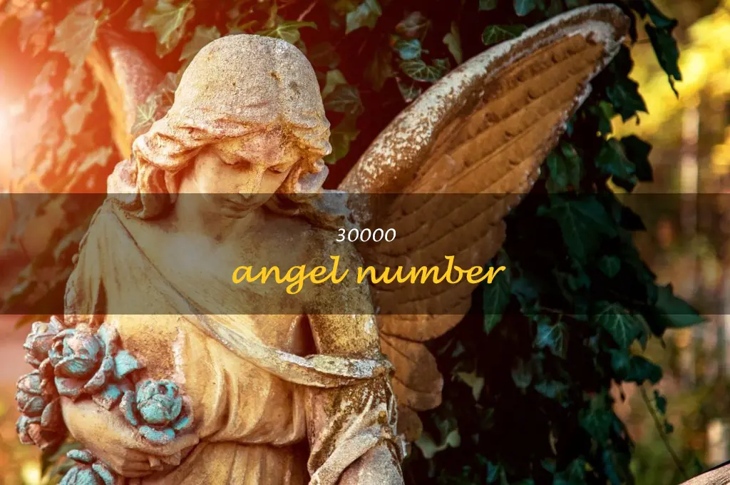 30000 angel number