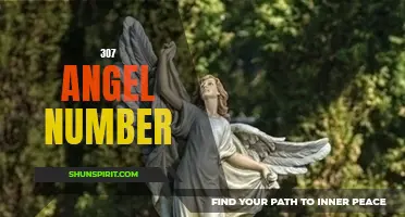 Unlock the Meaning Behind the Mysterious 307 Angel Number