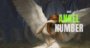The Meaning Behind the 3337 Angel Number: Unlocking the Spiritual Significance