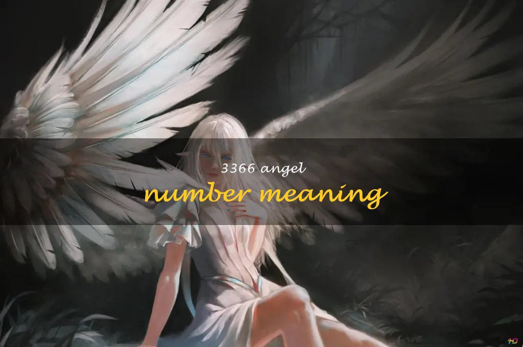 3366 angel number meaning