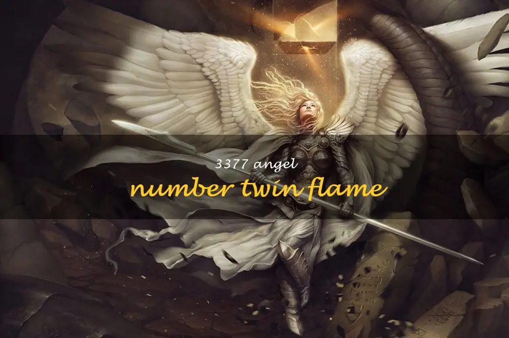 3377 angel number twin flame