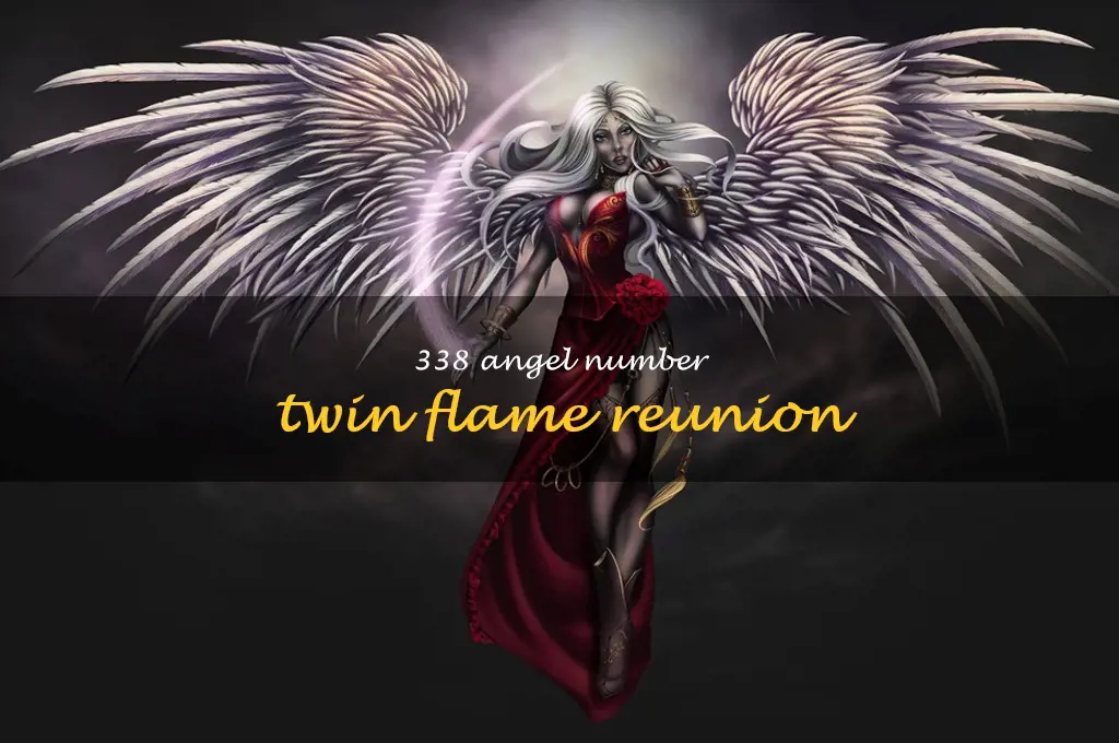 338 angel number twin flame reunion