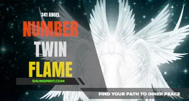 Discover the Meaning Behind the 341 Angel Number and Its Connection to Twin Flame Relationships