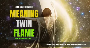 Uncovering the Hidden Meaning Behind the Angel Number 344 in Twin Flame Relationships
