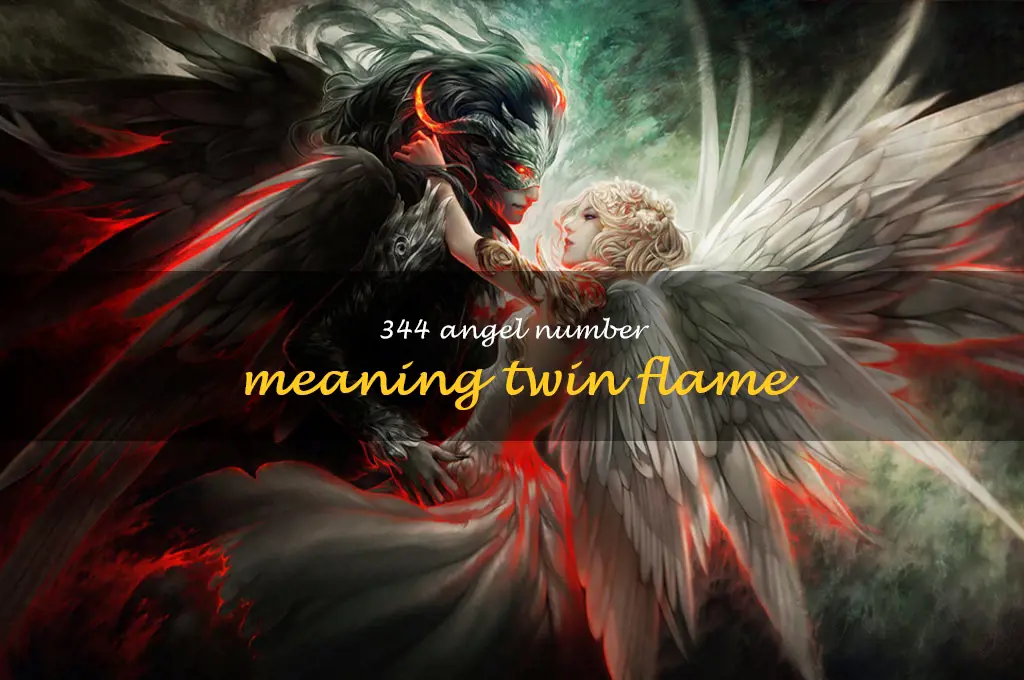 344 angel number meaning twin flame