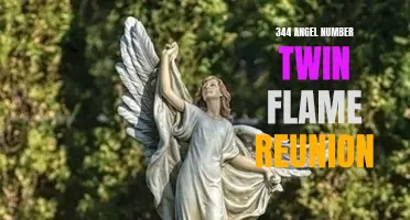 The Miraculous Reunion of Twin Flames: Unveiling the Meaning of the 344 Angel Number