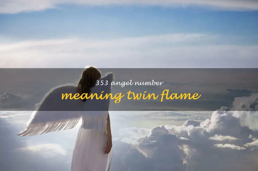 353 angel number meaning twin flame