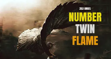 Uncovering the Meaning Behind the 353 Angel Number and Its Connection to Twin Flame Relationships
