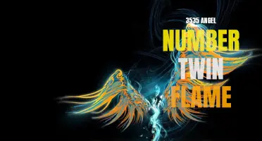Unlocking the Divine Meaning Behind the 3535 Angel Number Twin Flame