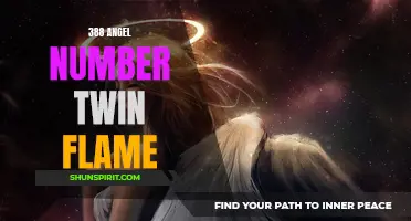 Unlocking the Meaning of 388 Angel Number and Its Significance for Twin Flame Connections