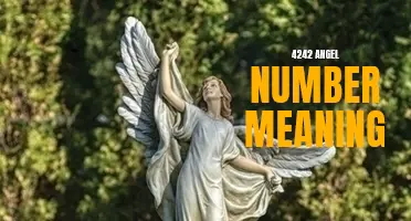 Discover the Hidden Meaning Behind the 4242 Angel Number