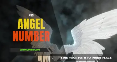 Unveiling the Meaning Behind the 429 Angel Number