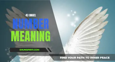 Unlocking the Hidden Meaning Behind the 43 Angel Number