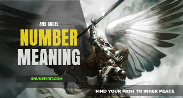 Uncovering the Hidden Meaning Behind the 442 Angel Number