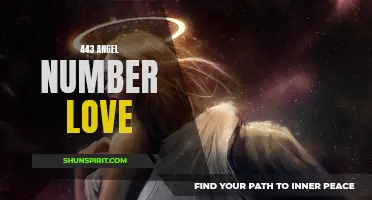 Discover the Meaning Behind the Powerful Love Message of the 443 Angel Number