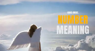 Unveiling the Symbolism Behind the 4443 Angel Number