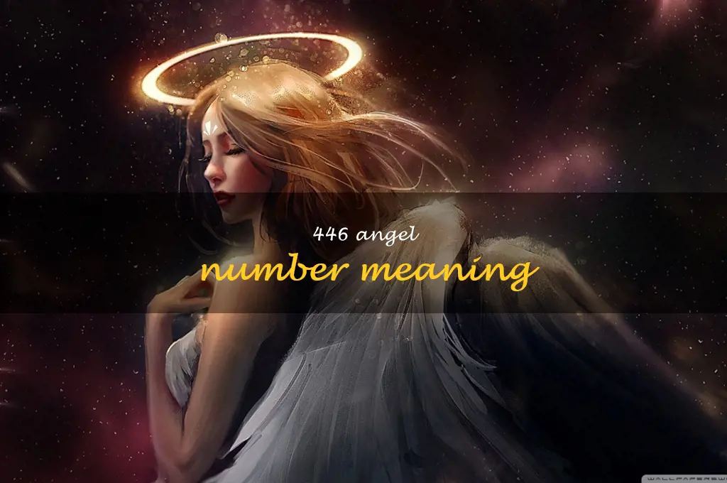 446 angel number meaning