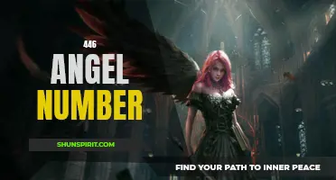 Discover the Meaning Behind the 446 Angel Number