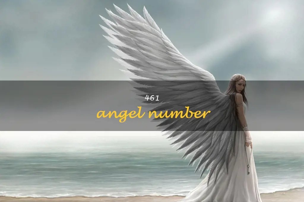 461 angel number