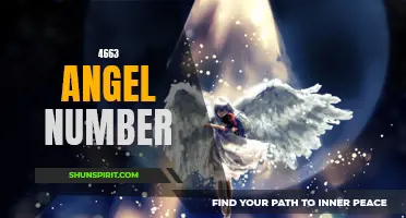 Uncovering the Hidden Meaning of 4663: The Angel Number