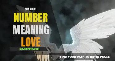 The Powerful Love Meaning of the 505 Angel Number