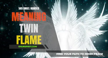 Uncovering the Hidden Meaning Behind the 505 Angel Number and Its Connection to Twin Flames
