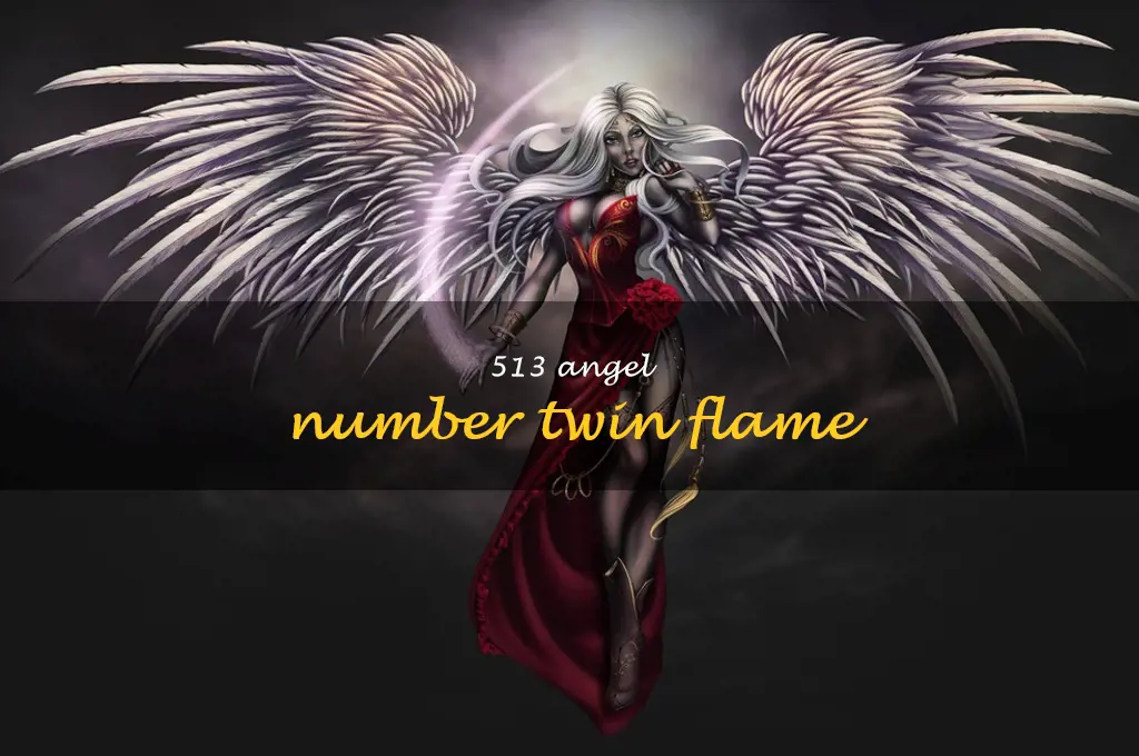 513 angel number twin flame