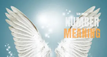 Unlock the Hidden Meaning Behind the 530 Angel Number