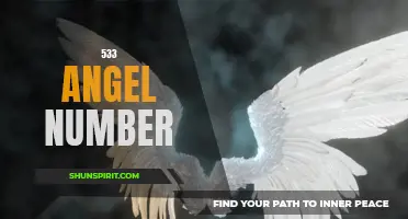 Uncovering the Meaning Behind the 533 Angel Number