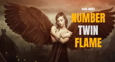 Uncovering the Meaning Behind the '5445' Angel Number Twin Flame